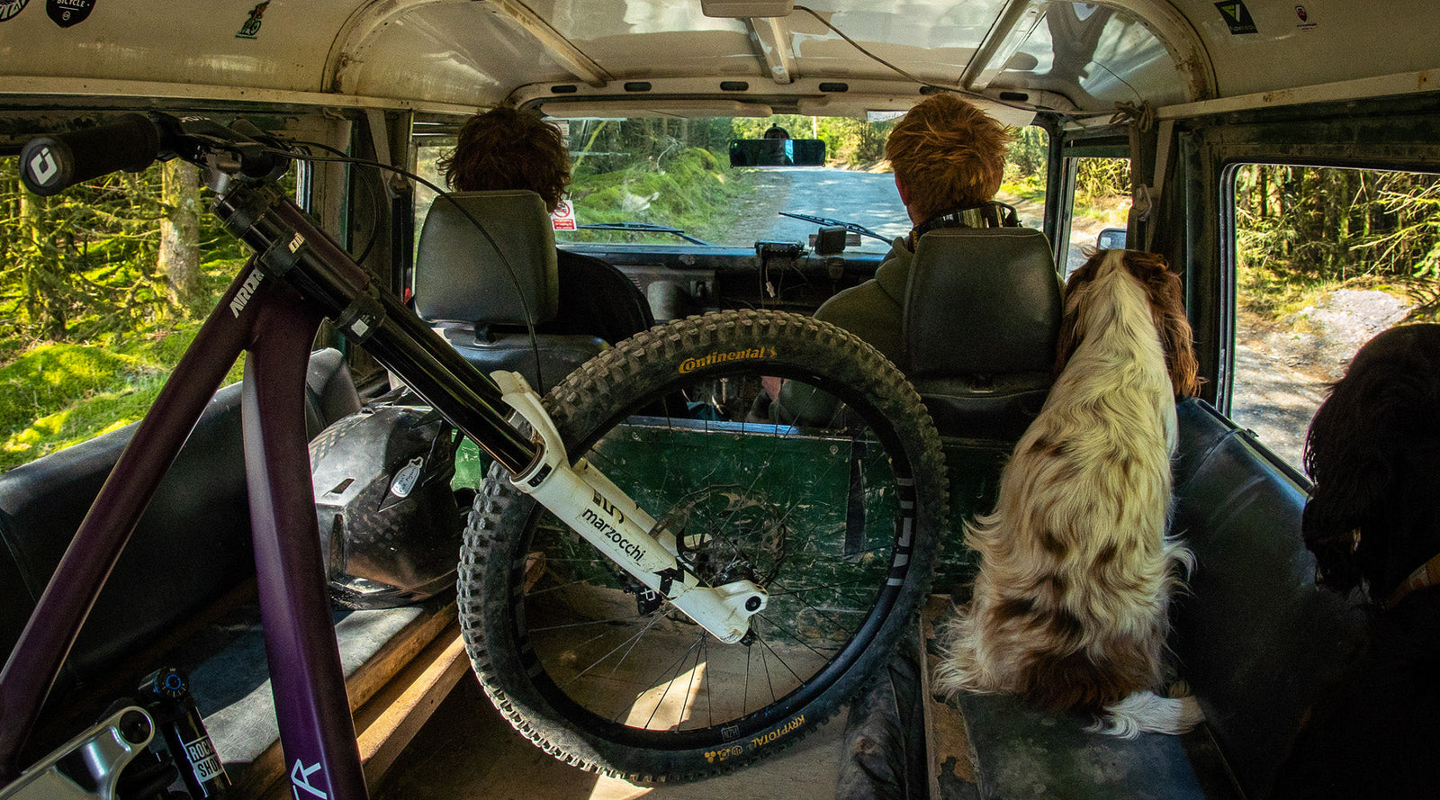 Into The Woods We Go