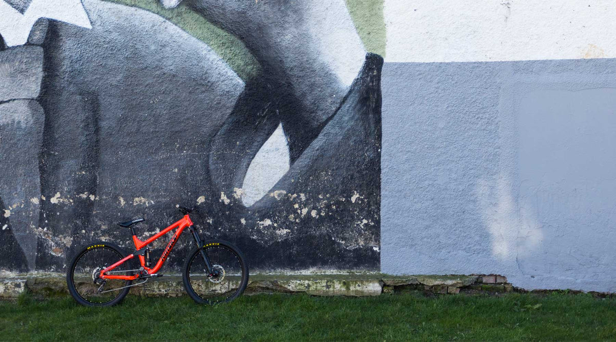 The Dual Bike