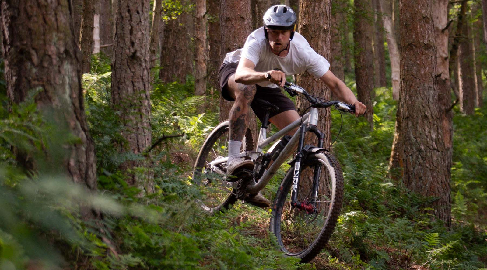 Trail