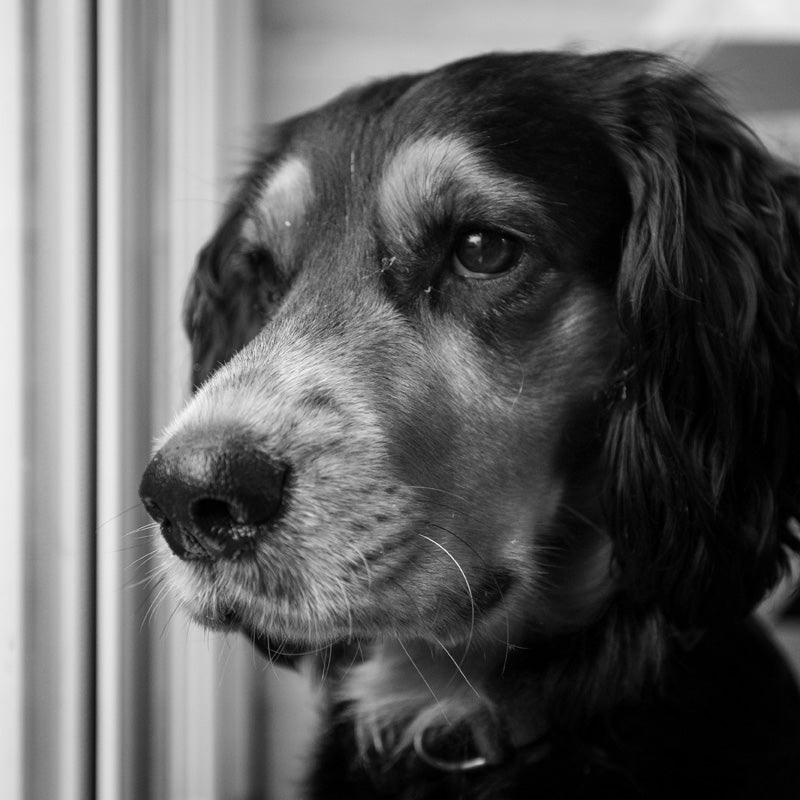 Obi Juan at Airdrop Bikes