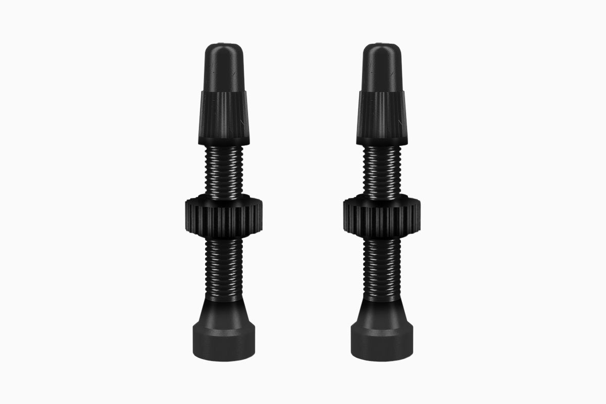 Vannes WTB TCS Presta